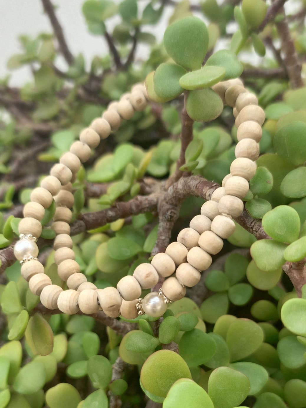 Classic Pearl Pure Tulsi Mala, handcrafted with authentic Tulsi beads and high-quality pearls by Brijwasis in Vrindavan. A perfect blend of devotion and elegance, ideal for meditation, prayer, and gifting.