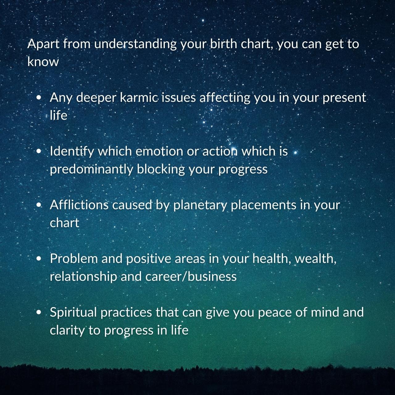 Vedic Astrology Consultation